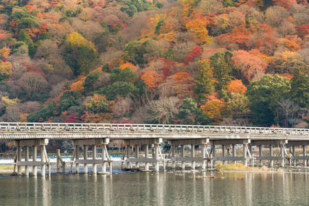Togetsukyo bridge with multiple colour tree on the mountain background, Kyoto Japanの写真素材