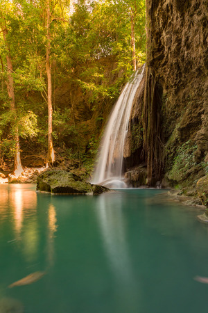 Rainforest stream waterfall in tropical jungle, natural landscape backgroundの写真素材