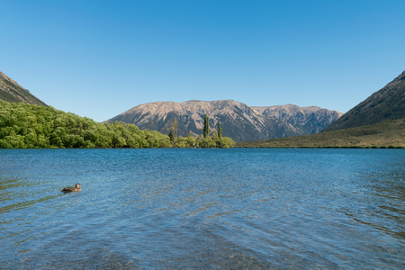 Lake Pearson Arthur's pass southern alpine alps mountain range, National Park New Zealandの写真素材