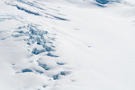 Show pattern grown winter season natural landscape backgroundの写真素材