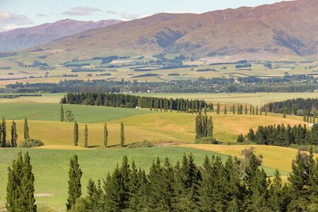 Beautiful mountain slope, New Zealand natural landscape background の写真素材
