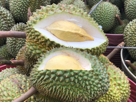 King of fruits, Durian, Thailandの写真素材