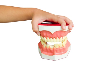 Dentureの写真素材