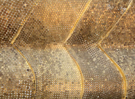 wall of coin background