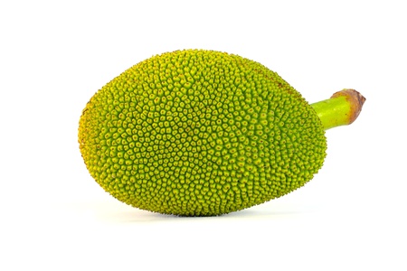 Green jack fruit on white background
