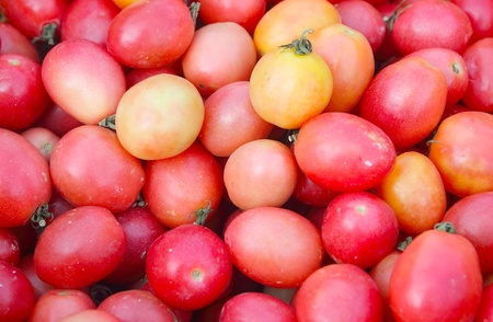 Background of local tomatoesの写真素材