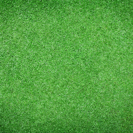 Beautiful green grass textureの写真素材