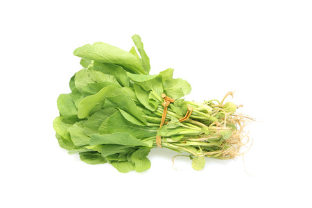 thai Lettuce isolated on a white 