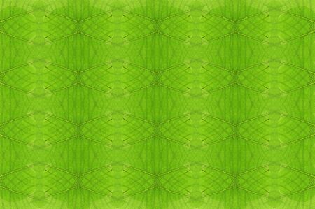 Abstract leaves seamless pattern background