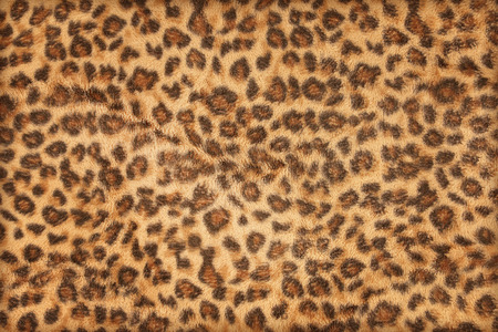 fabric pattern leopard pattern for background and texture