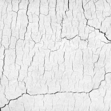 Bright background with wooden texture for any of your designの写真素材