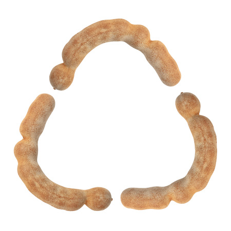 tamarind isolated on white backgroundの写真素材