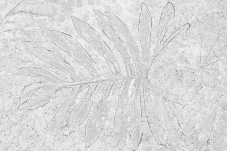 marks of leaf on the gray concrete background.の写真素材