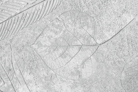 marks of leaf on the gray concrete backgroundの写真素材