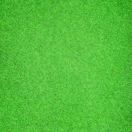 Beautiful green grass textureの写真素材