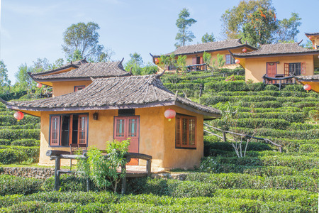 Tea Plantation resort Chinese style in Ban Rak Thai. Mae Hong Son, Thailandのeditorial素材