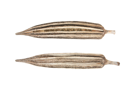 Dried okra isolated on white background.の写真素材