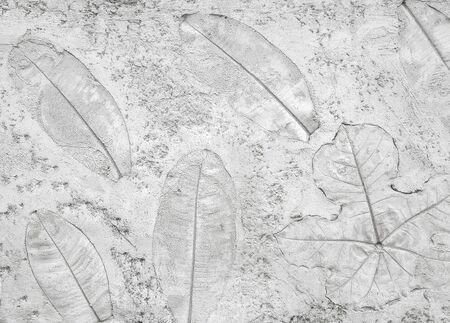 Tree leaf of tropical plant in printed on gray concrete surface for backgroundの写真素材