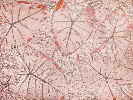 leaf of tropical plant in printed on concrete surface for backgroundの写真素材