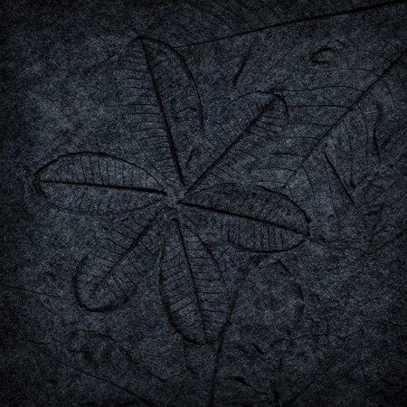 leaf print or stamp of leaf  on black stone texture backgroundの写真素材