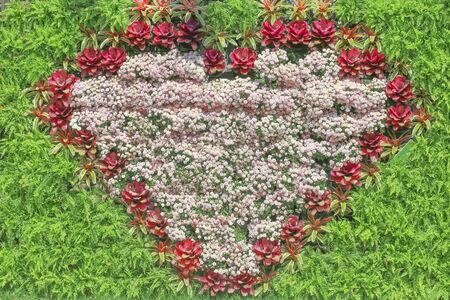 The backdrop is decorated with flowers and ferns in a heart shape. colorful flowers plant garden background wedding backdrop.の写真素材