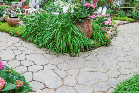 path way of garden in the flowers garden.の写真素材