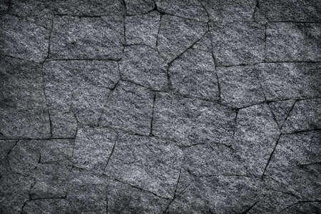 Leaf shadow and tree branch on white concrete wall or  leaves tree branch on wall texture abstract ...
