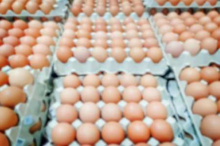 Blur image of chicken eggs in the packs or Cardboard trays with chicken eggs