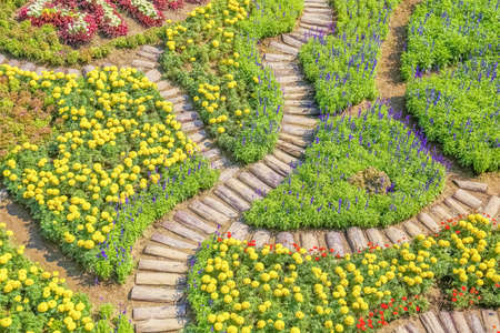 Flower Garden landscape design with pathway or walkway in the garden,の写真素材