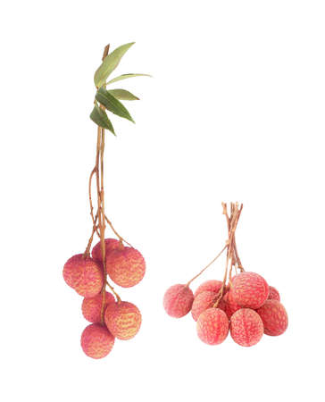 Fresh lychees isolared on white backgroundの写真素材
