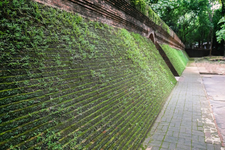 Brick wall with plants on wall at wat umong chiang maiの写真素材
