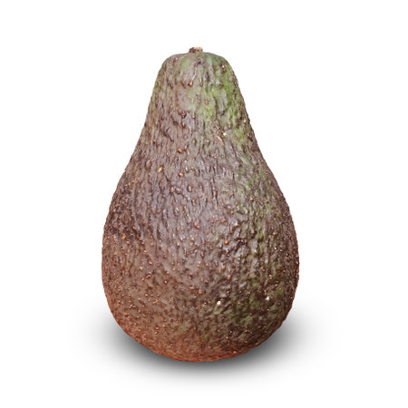 avocado isolated on white background with clipping pathの写真素材