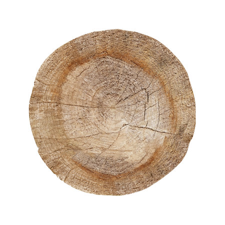 Aged vintage rough wood tree background with cracks and rings cut in a cross section from the woods isolated on white background with clipping path include for design usage purpose.の写真素材