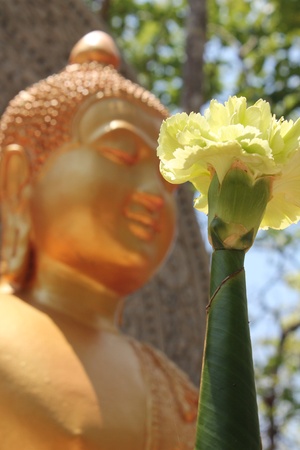 Faith in Buddhaの写真素材