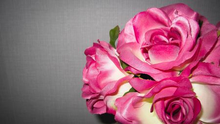Bouquet of pink plastic roses with gray wallsの写真素材