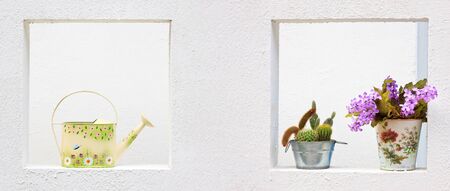  Cute colorful yellow vintage water can and flowerの写真素材