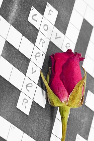 Dry pink red rose on a crossword paper with love textの写真素材