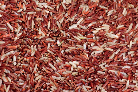  Thai jasmine brown rice の写真素材