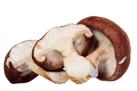 Shiitake mushroom isolated on white backgroundの写真素材