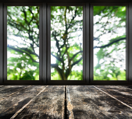 Black metal window frame with blur tree branch viewの写真素材