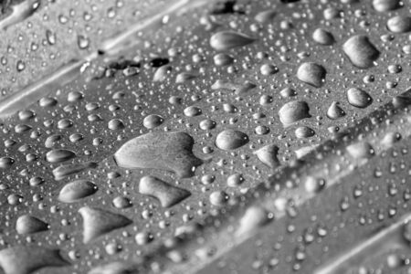 water drop on shiny silver surfaceの写真素材