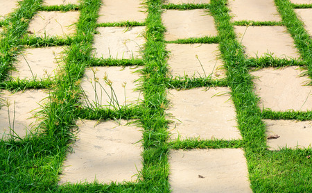 Brick rock on grass pavement pathの写真素材