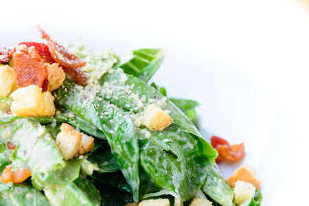 Caesar saladの写真素材
