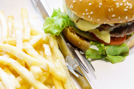 Double cheese burger and french friedの写真素材