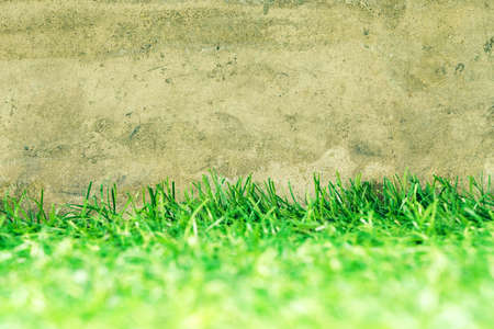 green grass grunge cement background textureの写真素材