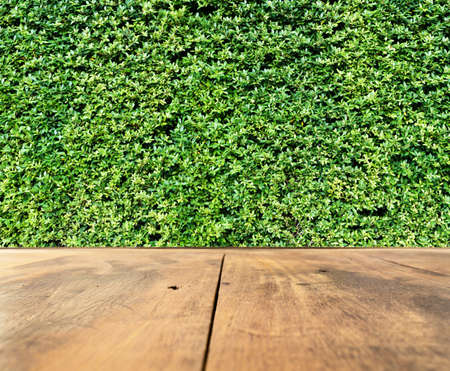 Brown wooden table on blur green grass wallの写真素材