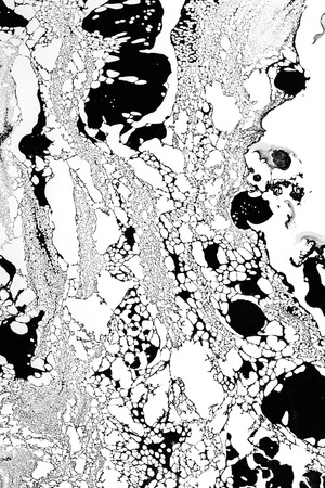abstract black ink oil flow float on water look like marble webの写真素材