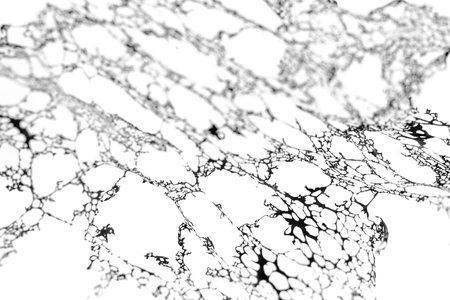 abstract black ink oil flow float on water look like marble webの写真素材