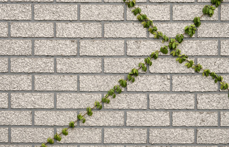 Coatbuttons on gray stone brick wall background textureの写真素材