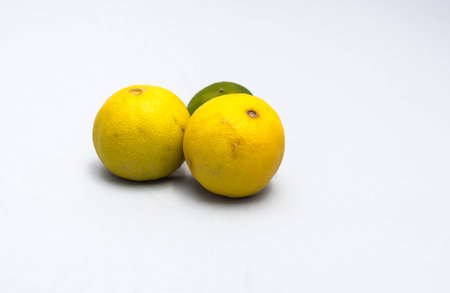 Lemon White backgroundの写真素材
